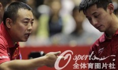 开云体育APP下载-奥地利队力克英格兰队，张继科统治全场的简单介绍