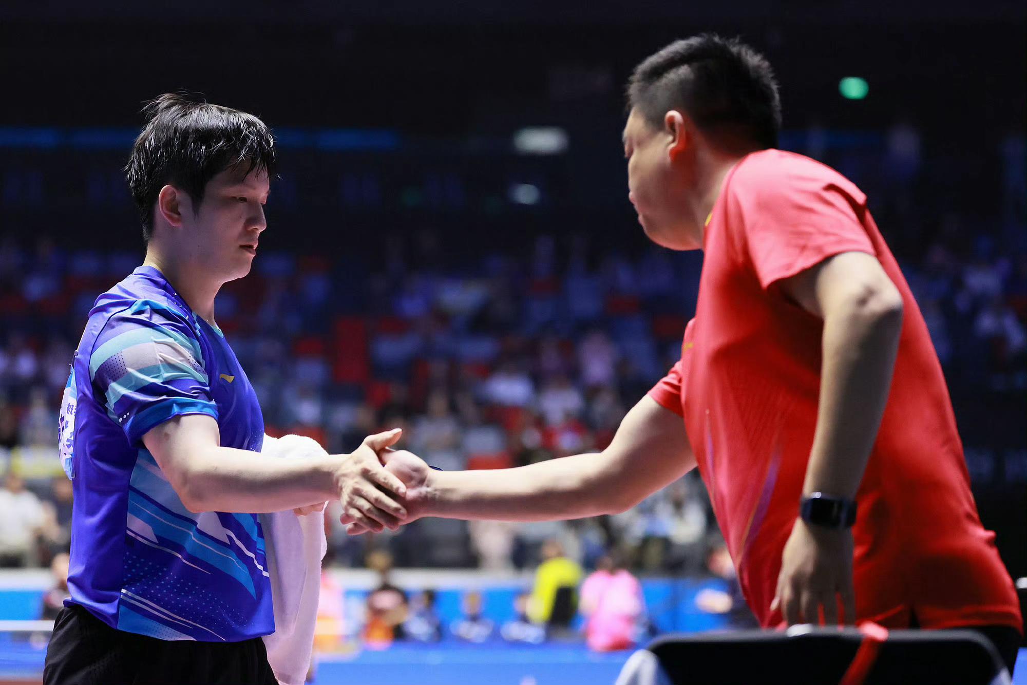 瑞典乒乓球队血洗韩国乒乓球队,樊振东统治全场的简单介绍 瑞典乒乓球队血洗韩国乒乓球队,樊振东统治全场的简单介绍