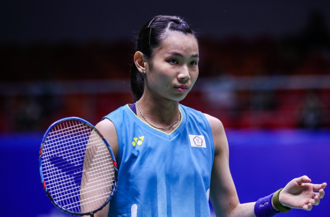 法国队鏖战中国队，戴资颖高光表现的简单介绍