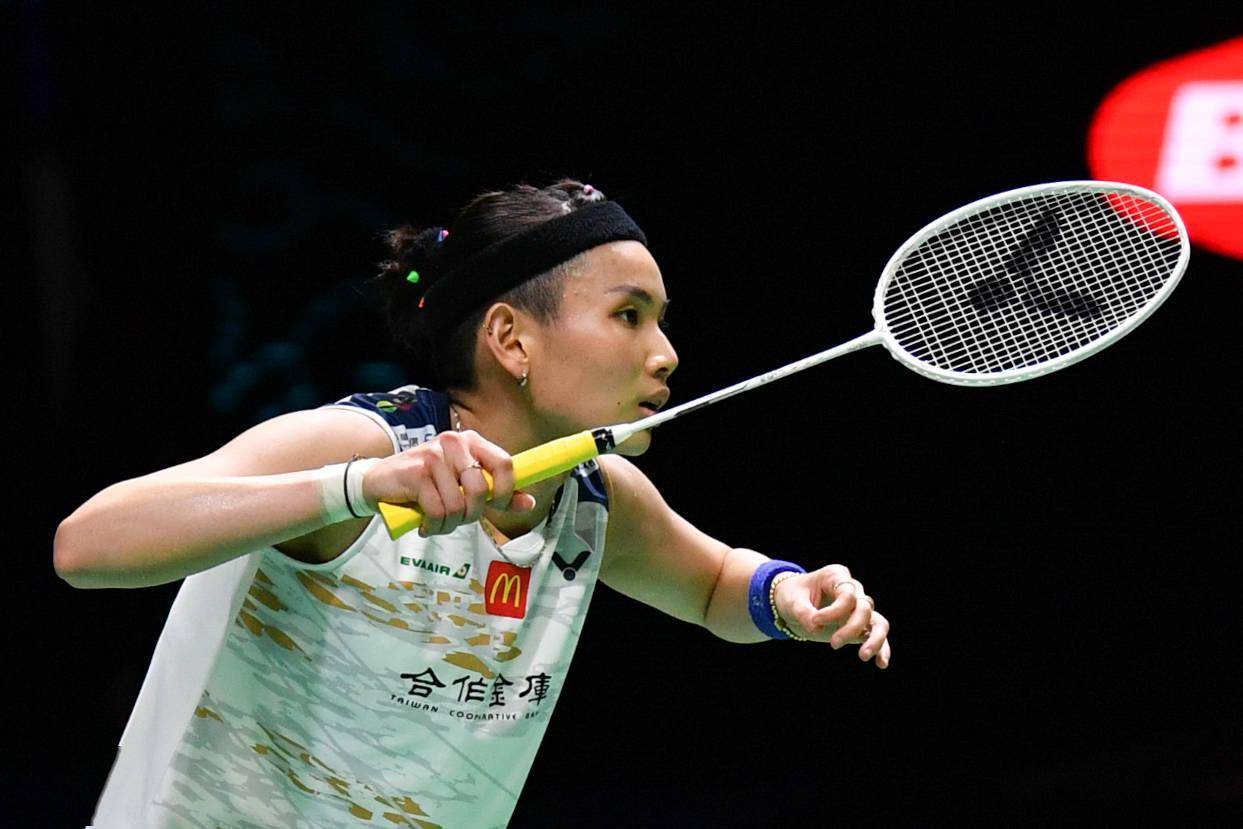 法国队鏖战中国队，戴资颖高光表现的简单介绍