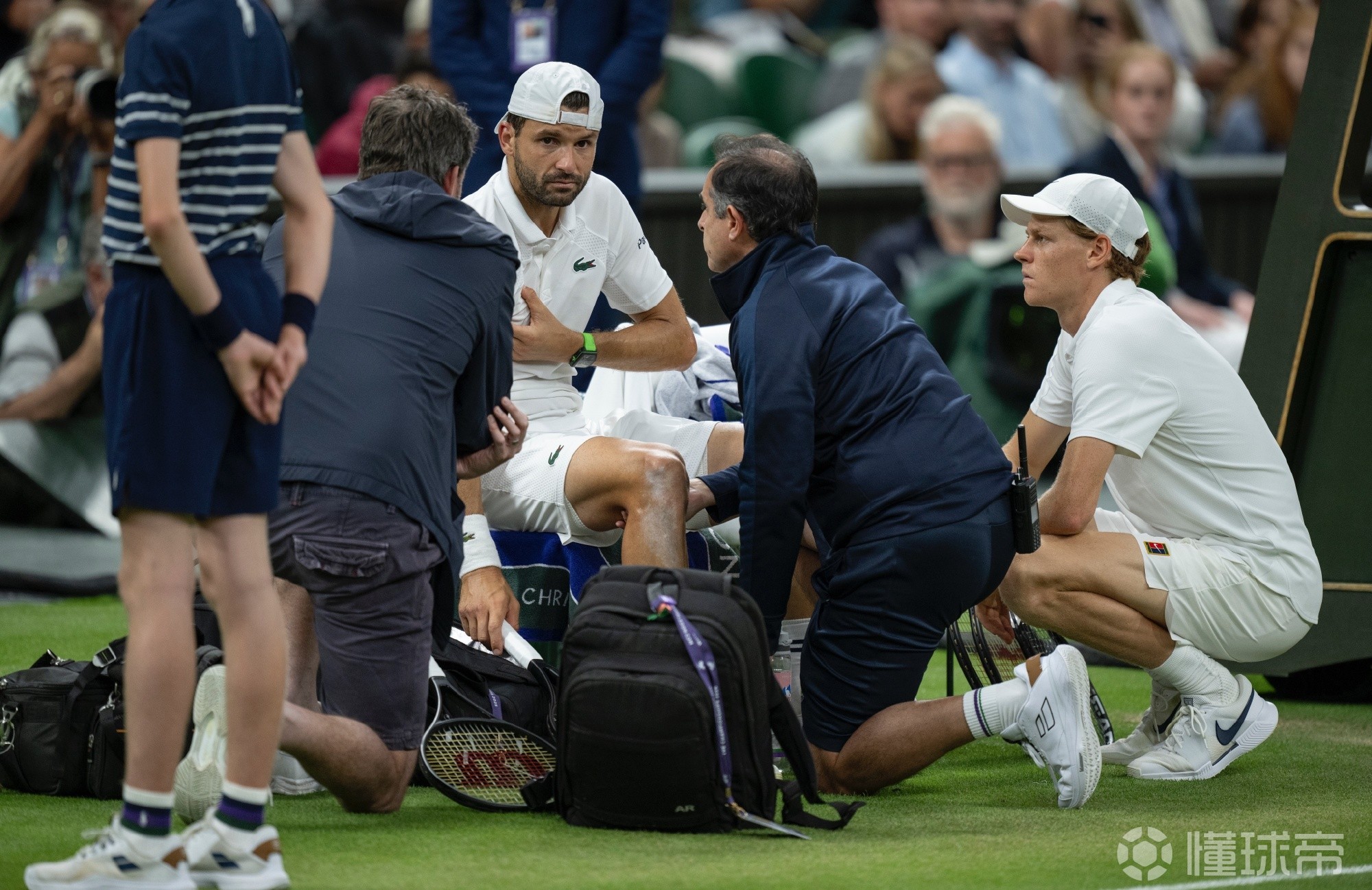 温网鏖战联合杯，辛纳统治全场