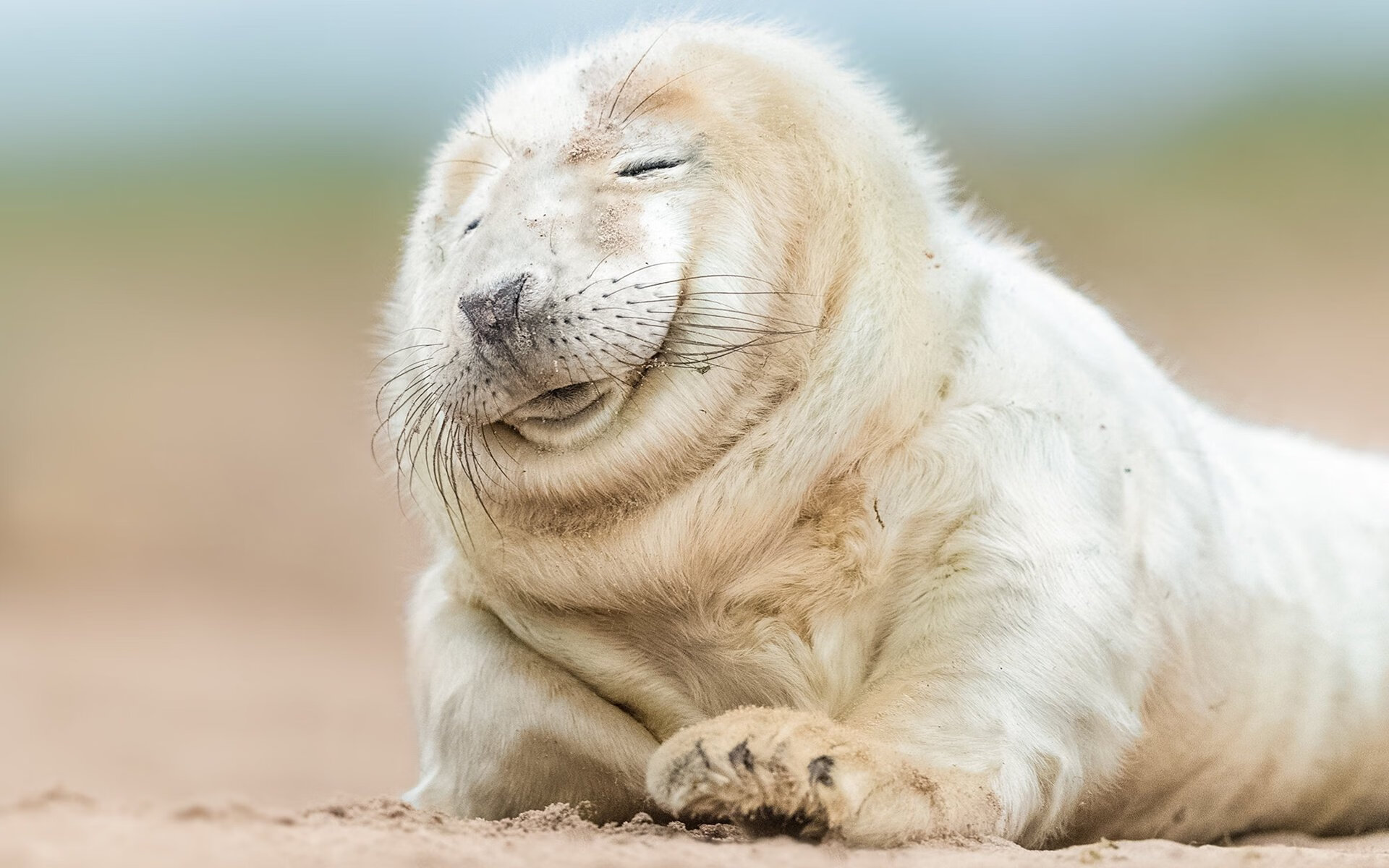 特奥攻防转换核心,牙买加绝杀苏格兰,一场战术与意志的较量